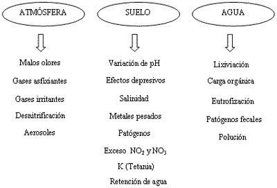 Pollinaza y eficiencia reproductiva en vacas