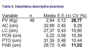 Peso vivo de los corderos mestizos respecto al promedio de las razas