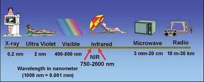 Espectroscopia De Infrarrojo Cercano Nirs La Tecnica De Analisis Rapidos Del Futuro Engormix