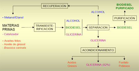 Producción de biodiesel con aceites vegetales - Engormix