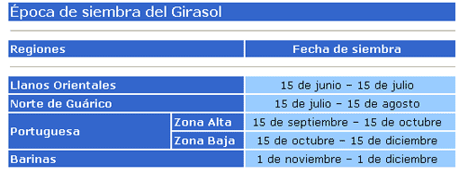Girasol en Venezuela - Engormix