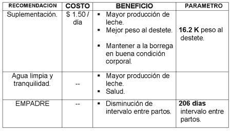 acortar semental acortar semental
