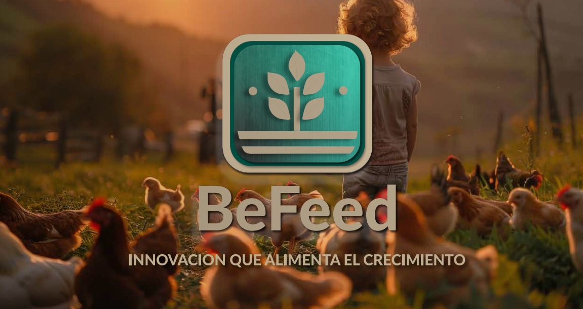 BeFeed