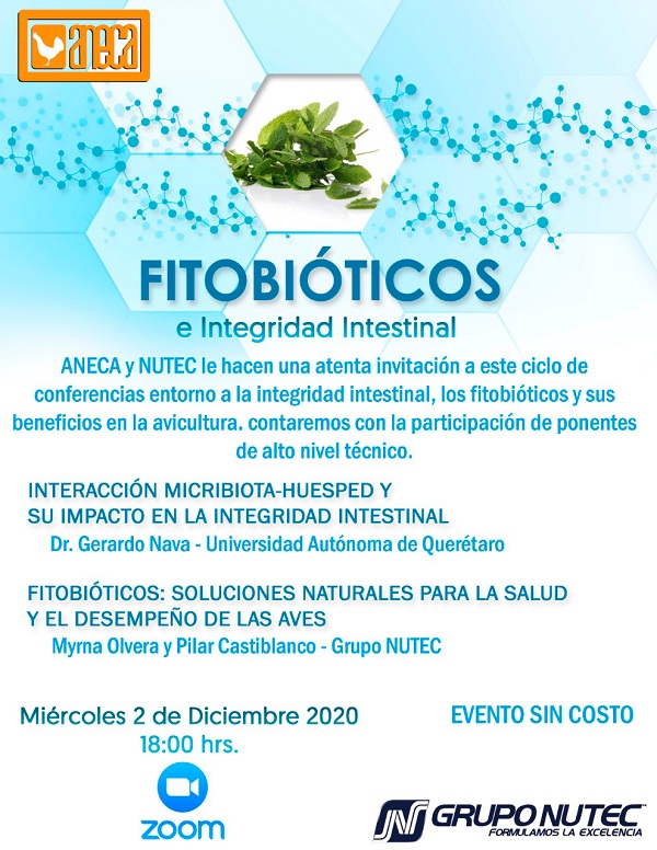 Fitobióticos e integridad intestinal - Image 1