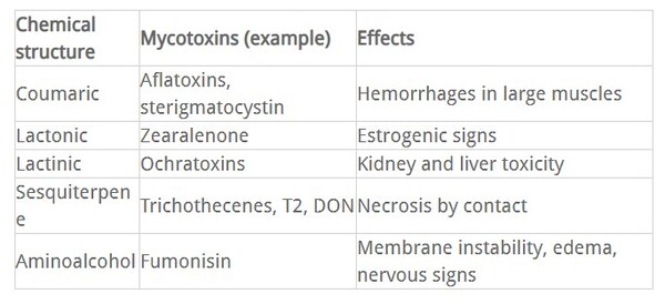 Alquermold Natural and Alquerfeed Antitox: technlogical innovation to prevent mycotoxicosis - Image 2