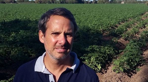 ¿Qué es y cómo actuar ante un cultivo estresado? - Image 1