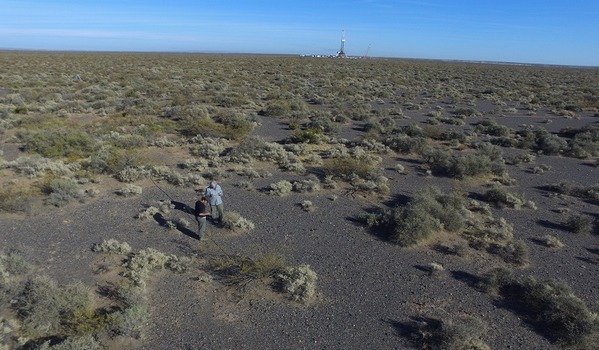 Argentina - Biodiversidad del suelo: base para la producción sostenible - Image 3