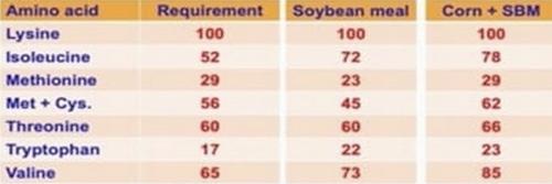 EE.UU. - Beneficios en cerdos con una dieta a base de proteína de soja - Image 1