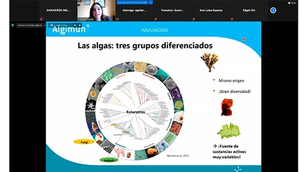 El papel de alimentación en la inmunidad y en la salud intestinal - Image 4