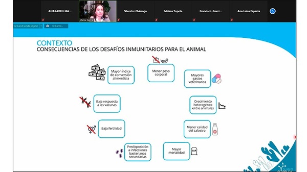 El papel de alimentación en la inmunidad y en la salud intestinal - Image 3
