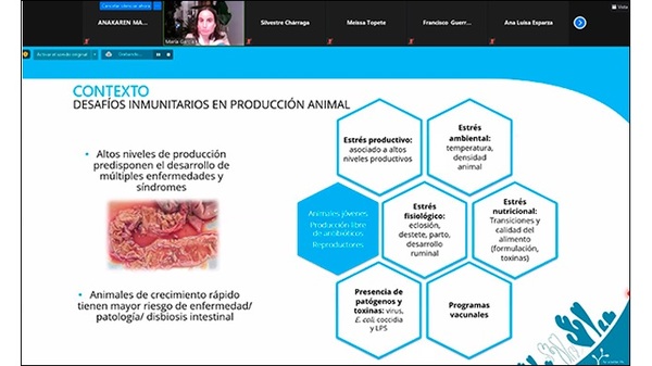 El papel de alimentación en la inmunidad y en la salud intestinal - Image 2
