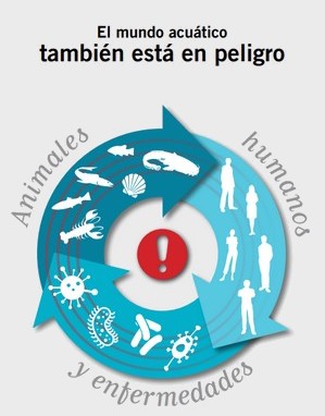 OIE: «One Health, Una sola salud» - Image 2