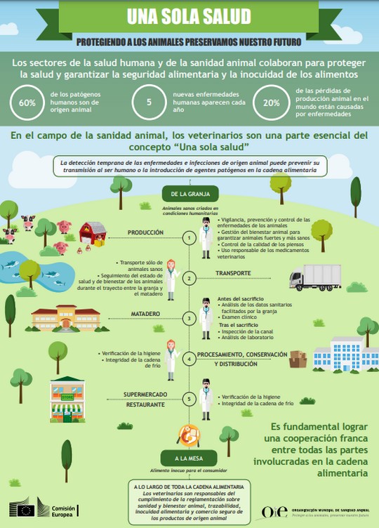 OIE: «One Health, Una sola salud» - Image 4
