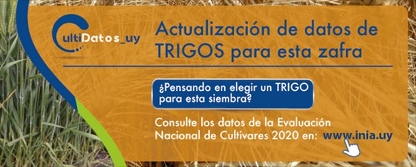 Uruguay - Base de datos de TRIGO 2020 - Image 1