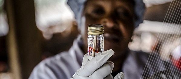 Resistencia antimicrobiana, La colaboración es clave para la vigilancia y el seguimiento - Image 1