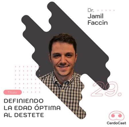 Definir la edad óptima al destete: CerdoCast #29 - Image 1