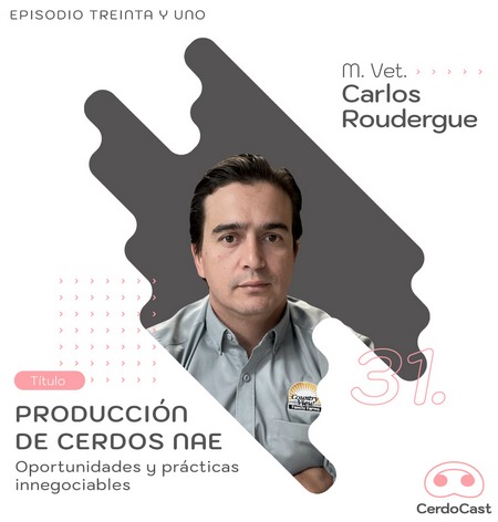 Producción de cerdos NAE: oportunidades y prácticas innegociables: CerdoCast #31 - Image 1