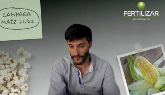Argentina - El maíz como gran protagonista de la campaña 2021/22 - Image 2