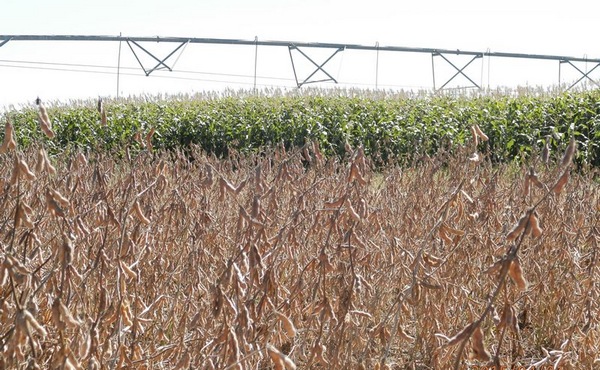 Argentina - Impulsan riego de precisión con sistemas de dosis variable - Image 1