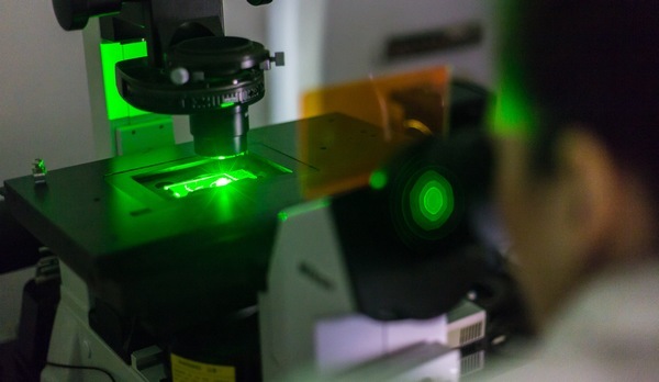 IRTA-CReSA: Nueva tecnología para estudiar infección de patógenos altamente peligrosos - Image 1