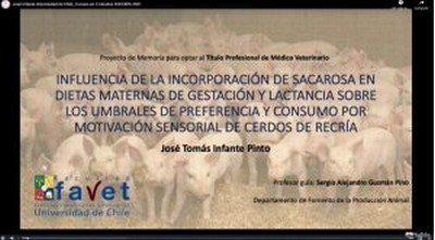 Exitoso congreso SOCHIPA 2021, abordó como tema central la ganadería inteligente - Image 3