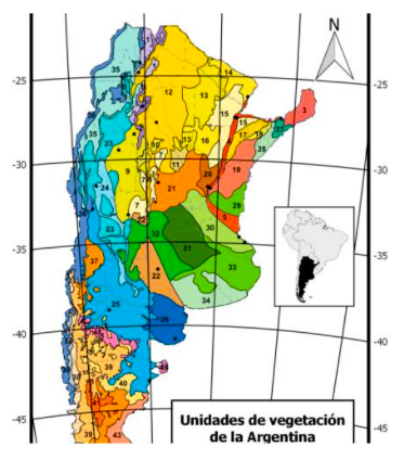 Argentina - Pastizales serranos: Advierten sobre impactos negativos de manejos agronómicos - Image 1