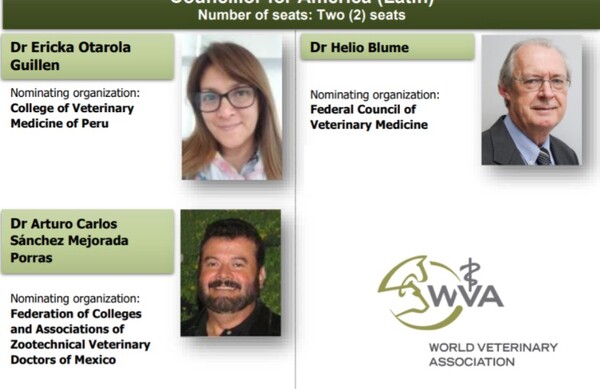 La WVA tendrá nuevos cancilleres en Latinoamérica. México en la terna de candidatos - Image 1