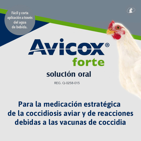 Avicox® forte - Solución oral