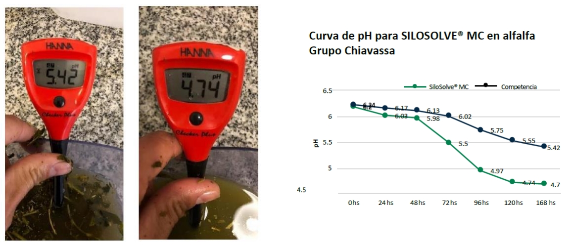 SiloSolve® MC - Inoculante para Silo