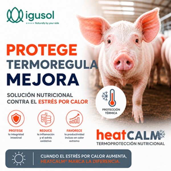 HeatCalm 