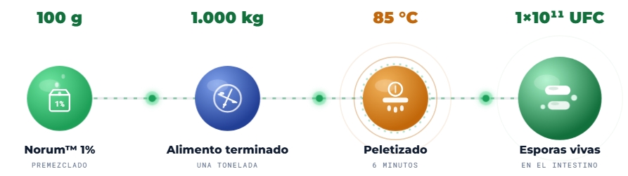 Norum&trade; - Animales productores de prote&iacute;na animal